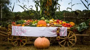 Koka rati ar rudens ražu, ķirbjiem un latviskiem ornamentiem Miķeļdienas svinībām Latvijā.