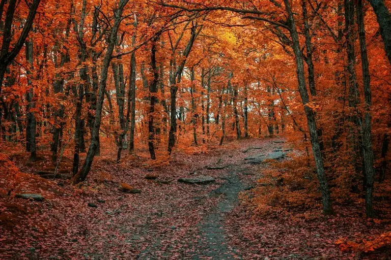 Rudens ekvinokcija: pārbaudes tumšākam sezonas sākumam